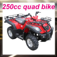 Cheap 250cc street atv